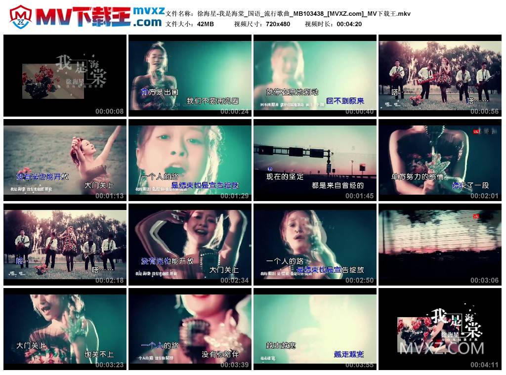 徐海星-我是海棠_国语_流行歌曲_MB103438